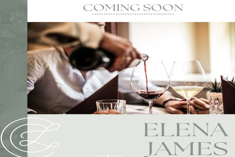 The List Are You On It | ELENA JAMES