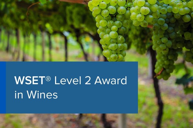 WSET Level 2 in Wines - Everything You Need to Know 